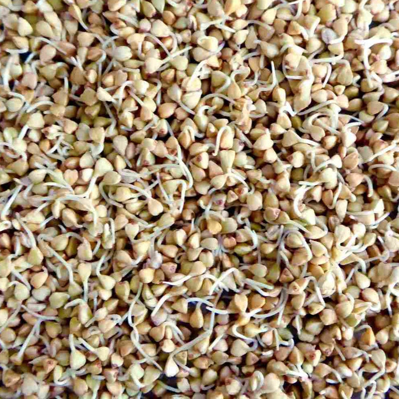 Buckwheat Kernels Raw (Gluten Free, Organic, Australian)